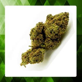 Skywalker OG CBD 15%