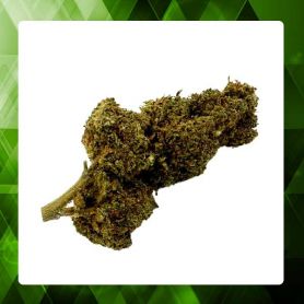 Strawberry Greenhouse CBD 15%