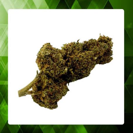 Strawberry Greenhouse CBD 15%