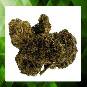 AMNESIA GREENHOUSE CBD 9%