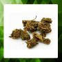 POP CORN CBD