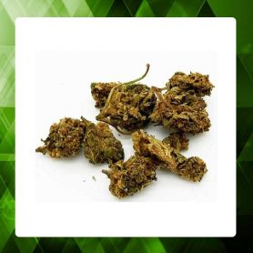 POP CORN CBD
