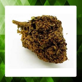 Orange Bud Greenhouse CBD 9%