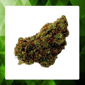 SKYWALKER OG THV CBC